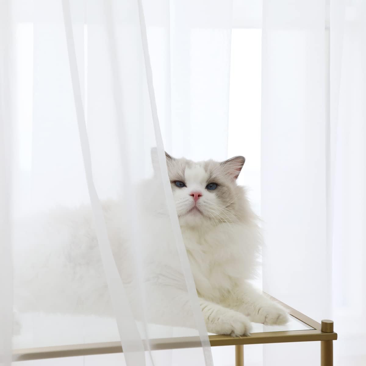 PHILEASY Window Sheer Curtains 84 Inches Long 2 Panels White Sheer Curtain Clear Transparent Basic Rod Pocket Panel 15 Colors 10 Size for Bedroom Living Room Yard Kitchen