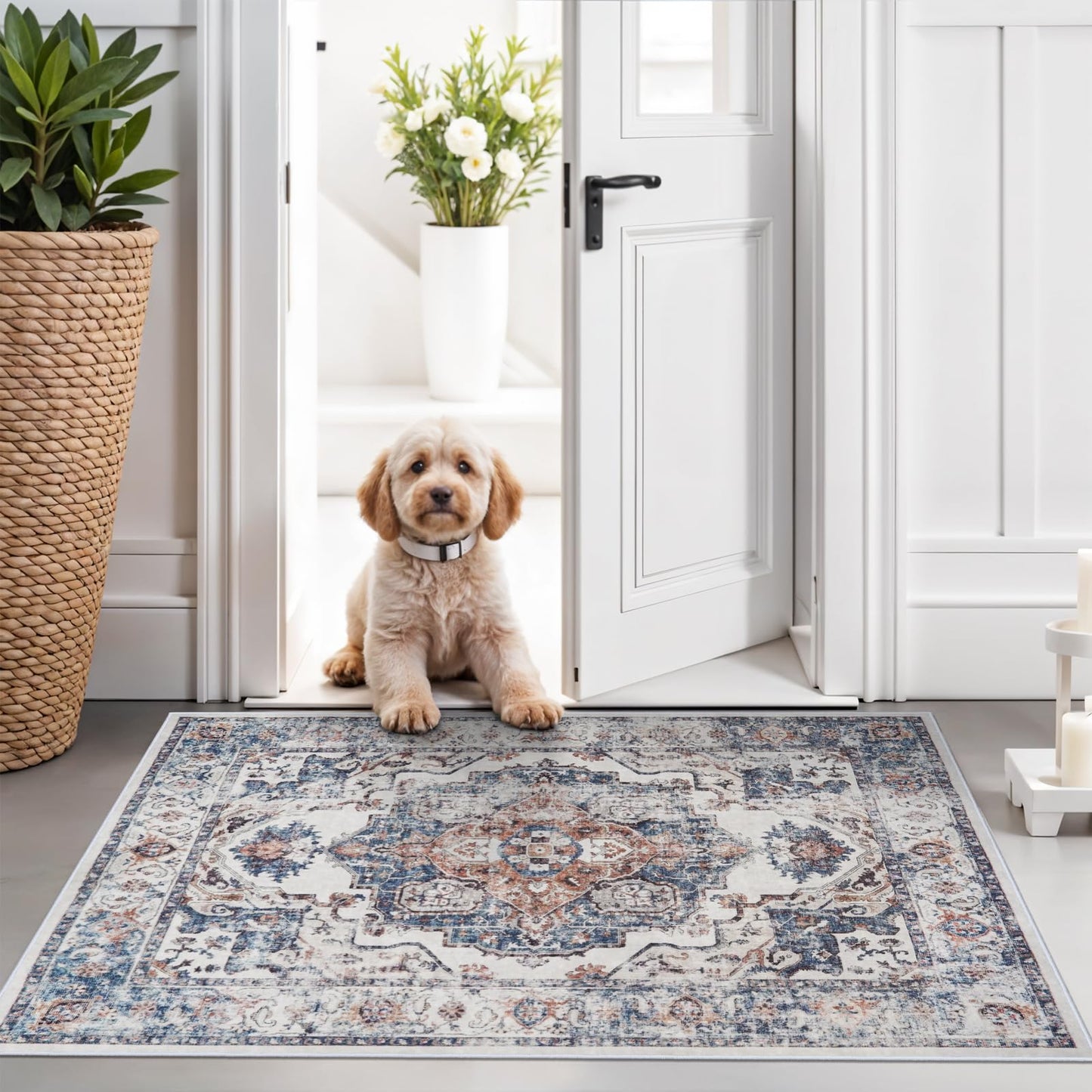 2x6 Hallway Washable Runner Rug : Vintage Soft Kitchen Laundry Runner with Non Slip Backing Farmhouse Entryway Living Room Floor Mat Stain Resistant Carpet for Bedroom Bathroom Distressed Beside Rug