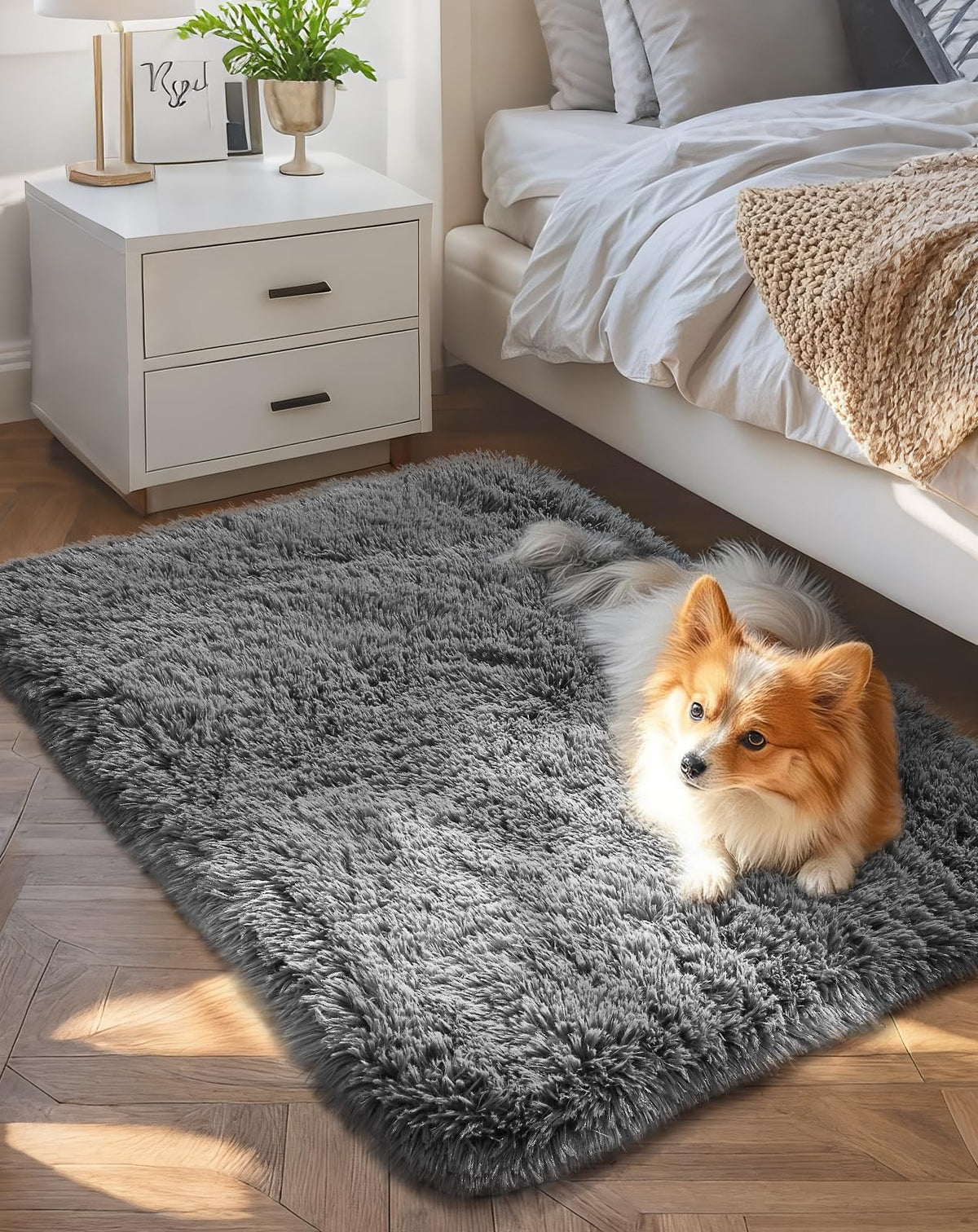 Ophanie Area Rugs for Living Room Bedroom, Washable Non-Slip Fluffy Soft Grey Shag Carpet, Indoor Floor Gray 4x6 Fuzzy Shaggy Living Room Plush Rug for Kids Home Dorm Decor Aesthetic
