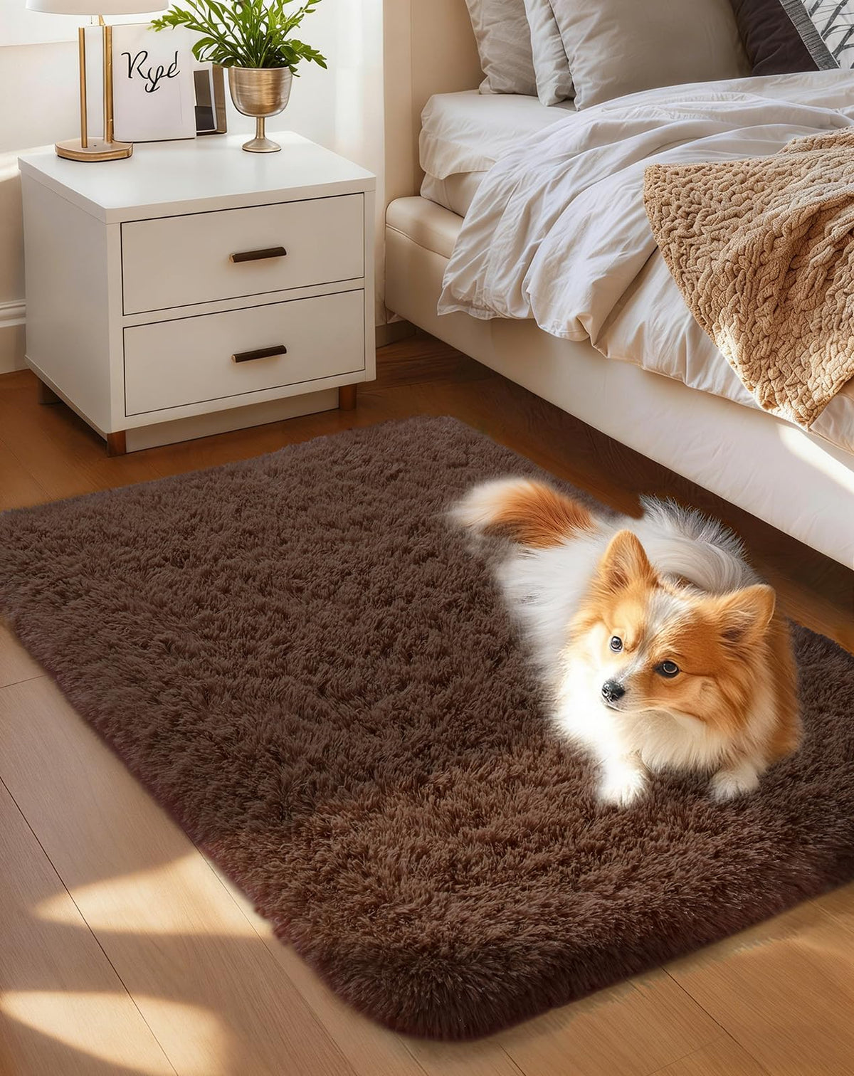 Ophanie Area Rugs for Living Room Bedroom, Washable Non-Slip Fluffy Soft Grey Shag Carpet, Indoor Floor Gray 4x6 Fuzzy Shaggy Living Room Plush Rug for Kids Home Dorm Decor Aesthetic