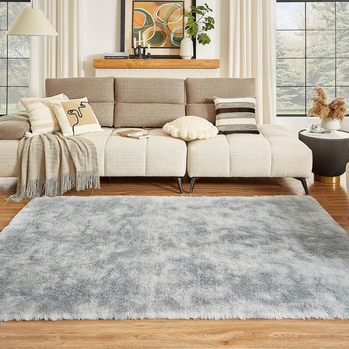 Floralux Rugs for Living Room, 6x9 Large Shag Area Rug, Tie-Dyed Light Grey Soft Fluffy Carpets for Bedroom