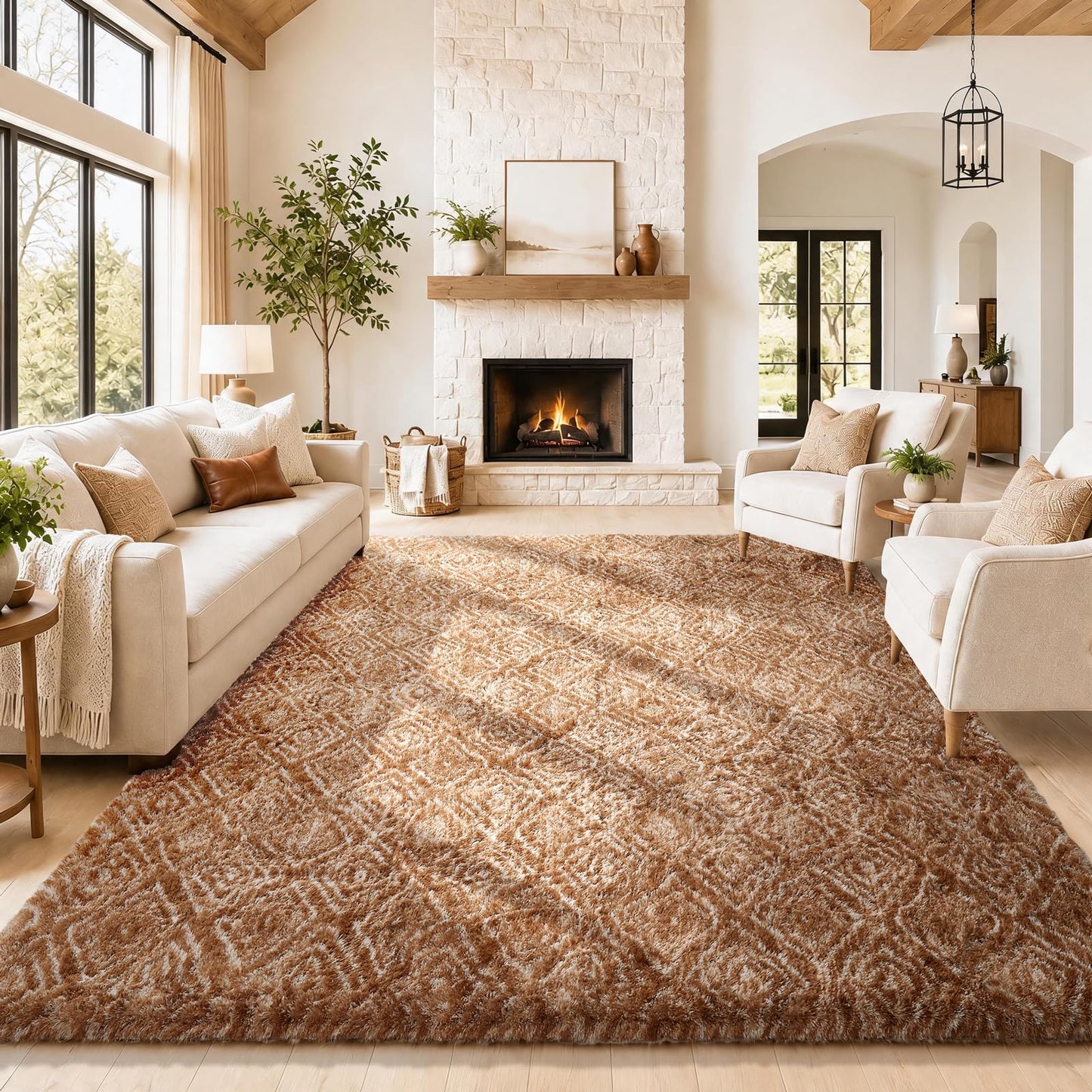 Ophanie Area Rugs for Living Room Bedroom, Washable Non-Slip Fluffy Soft Grey Shag Carpet, Indoor Floor Gray 4x6 Fuzzy Shaggy Living Room Plush Rug for Kids Home Dorm Decor Aesthetic